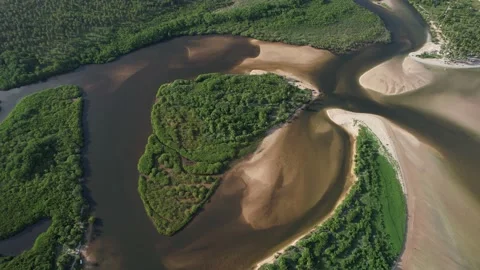 Flying over the beach of So Miguel dos Milagres, touristic and paradisiacal b Vidéo 196263497