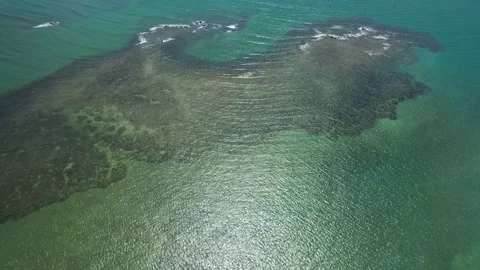 Flying over the beach of So Miguel dos Milagres, touristic and paradisiacal b Vidéo 196263523