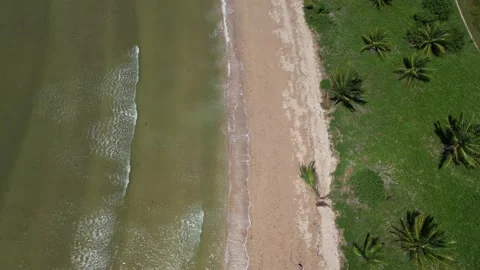 Flying over the beach of So Miguel dos Milagres, touristic and paradisiacal b Vidéo 196263526