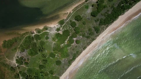 Flying over the beach of So Miguel dos Milagres, touristic and paradisiacal b Vidéo 196263531