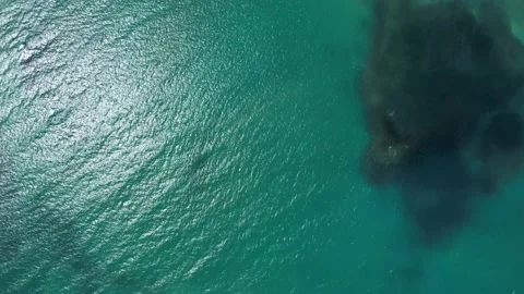 Flying over the beach of So Miguel dos Milagres, touristic and paradisiacal b Vidéo 196263536