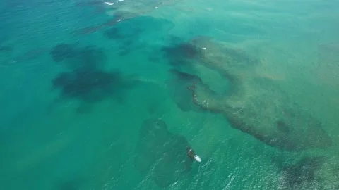 Flying over the beach of So Miguel dos Milagres, touristic and paradisiacal b Vidéo 196263538