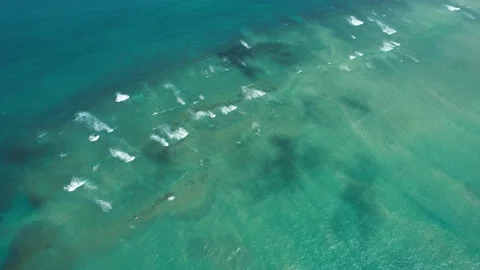 Flying over the beach of So Miguel dos Milagres, touristic and paradisiacal b Vidéo 196263547