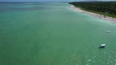 Flying over the beach of So Miguel dos Milagres, touristic and paradisiacal b Vidéo 196263554