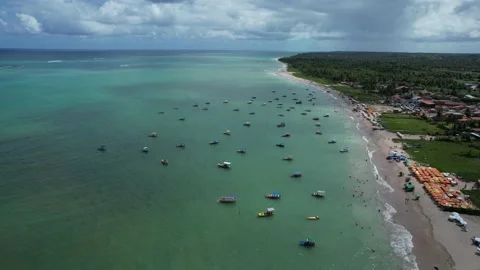 Flying over the beach of So Miguel dos Milagres, touristic and paradisiacal b Vidéo 196263557