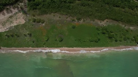 Flying over the beach of So Miguel dos Milagres, touristic and paradisiacal b Vidéo 196263561