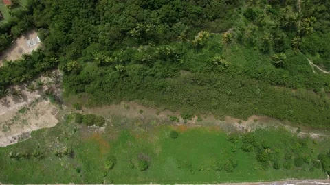 Flying over the beach of So Miguel dos Milagres, touristic and paradisiacal b Vidéo 196263567