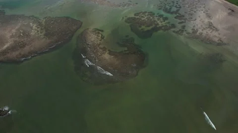 Flying over the beach of So Miguel dos Milagres, touristic and paradisiacal b Vidéo 196263568