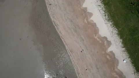 Flying over the beach of So Miguel dos Milagres, touristic and paradisiacal b Vidéo 196263589