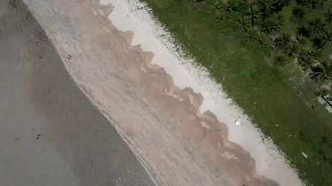 Flying over the beach of So Miguel dos Milagres, touristic and paradisiacal b Vidéo 196263597