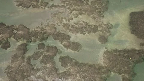 Flying over the beach of So Miguel dos Milagres, touristic and paradisiacal b Stock Footage 196263600