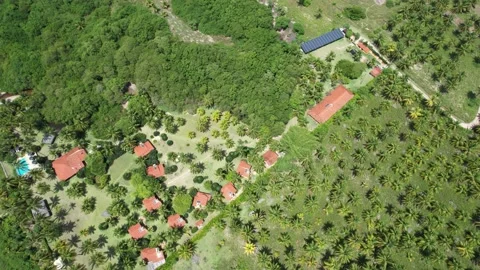 Flying over the beach of So Miguel dos Milagres, touristic and paradisiacal b Vidéo 196263602