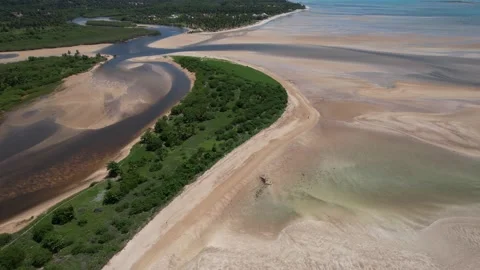 Flying over the beach of So Miguel dos Milagres, touristic and paradisiacal b Vidéo 196263604