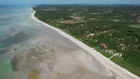 Flying over the beach of So Miguel dos Milagres, touristic and paradisiacal b Vidéo 196263605