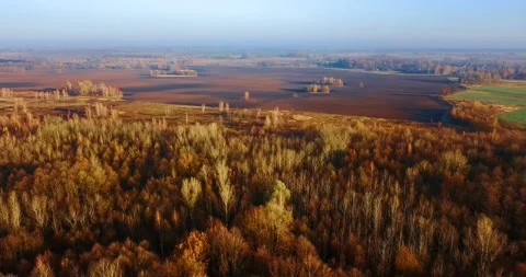 Flying over a beautiful deciduous forest and a plowed agriculture field with Stock Footage 139420721