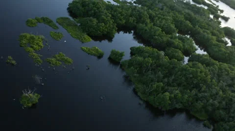 Flying Over Beautiful Everglades Stockbeeldmateriaal 26737847