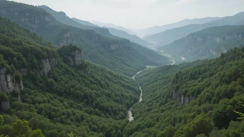 Flying over the beautiful evergreen mountains, drone shot aerial shot at dusk Stock-Footage 313429948
