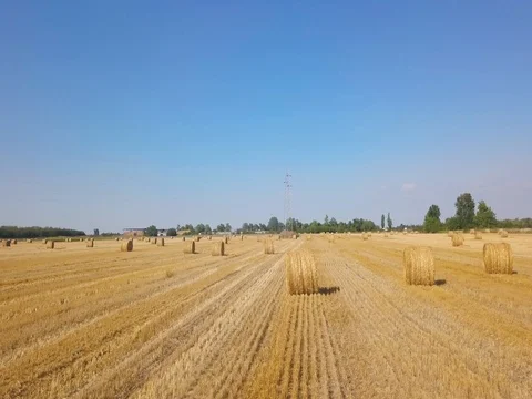Flying over beautiful field with bale of hay. Aerial drone footage 4k Stock Footage 78412344