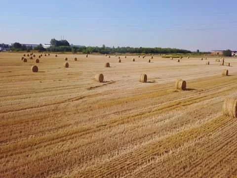 Flying over beautiful field with bale of hay. Aerial drone footage 4k Stock Footage 78418622