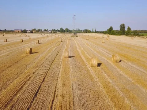 Flying over beautiful field with bale of hay. Aerial drone footage 4k Stock Footage 78418646