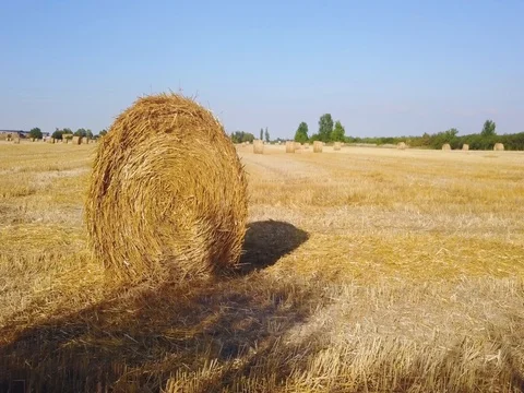 Flying over beautiful field with bale of hay. Aerial drone footage 4k Stock Footage 78418708