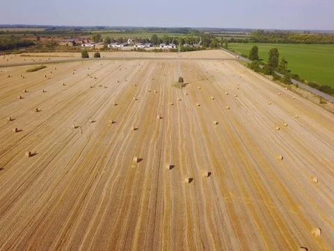 Flying over beautiful field with bale of hay. Aerial drone footage 4k Stock Footage 78419028