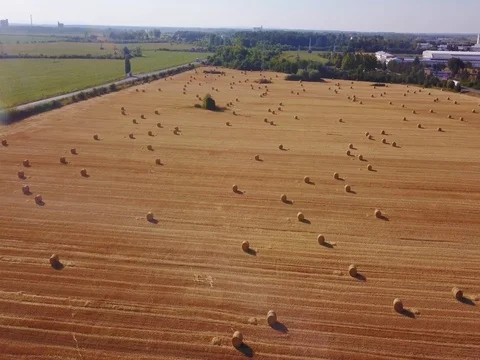Flying over beautiful field with bale of hay. Aerial drone footage 4k Stock Footage 78419047