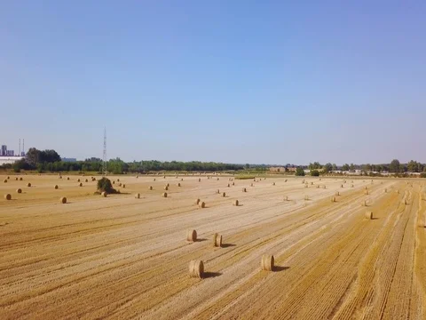 Flying over beautiful field with bale of hay. Aerial drone footage 4k Stock Footage 78419305