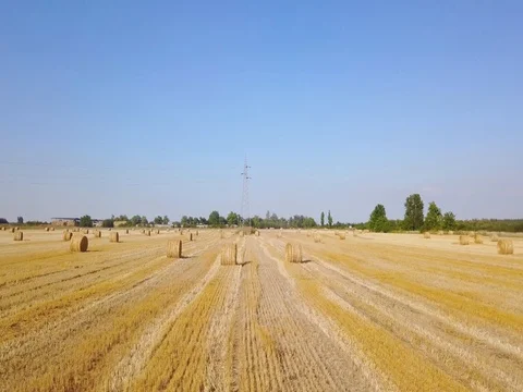 Flying over beautiful field with bale of hay. Aerial drone footage 4k Stock Footage 78419308