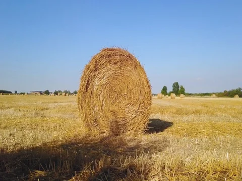 Flying over beautiful field with bale of hay. Aerial drone footage 4k Stock Footage 78419647