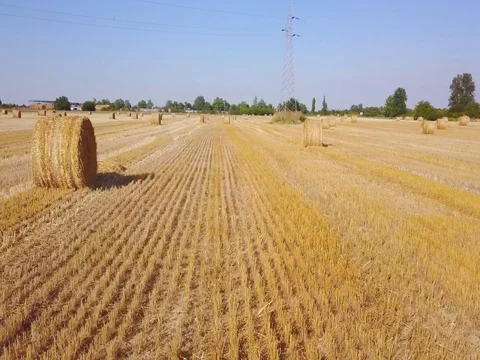 Flying over beautiful field with bale of hay. Aerial drone footage 4k Stock Footage 78419660
