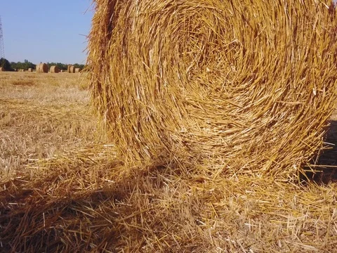 Flying over beautiful field with bale of hay. Aerial drone footage 4k Stock Footage 78419938