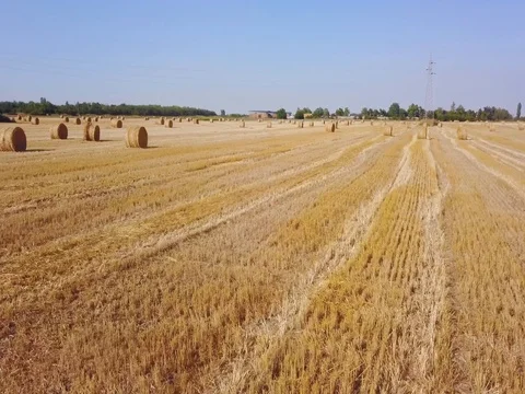 Flying over beautiful field with bale of hay. Aerial drone footage 4k Stock Footage 78420300