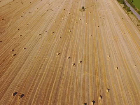 Flying over beautiful field with bale of hay. Aerial drone footage 4k Stock Footage 78420509