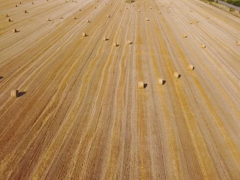 Flying over beautiful field with bale of hay. Aerial drone footage 4k Stock Footage 78420892