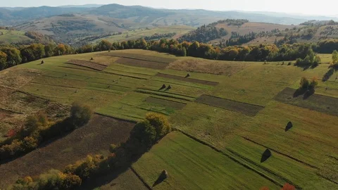 Flying Over A Beautiful Fields In The Carpathian Mountains. Ukraine Stock Footage 104047181