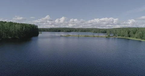 Flying over a beautiful forest lake on a summer day. Stock Footage 135460144