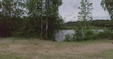 Flying over a beautiful forest lake on a summer day. Stock Footage 135477088