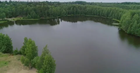 Flying over a beautiful forest lake on a summer day. Stock Footage 135477108