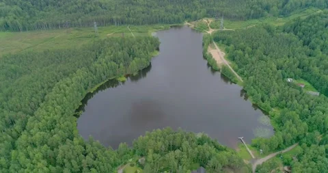 Flying over a beautiful forest lake on a summer day. Stock Footage 135477120