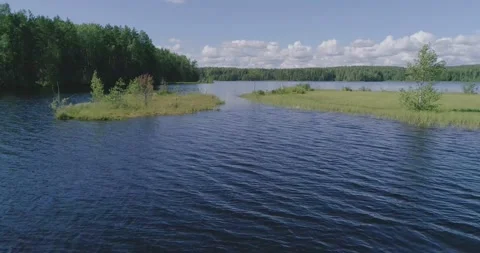 Flying over a beautiful forest lake on a summer day. Stock Footage 135477398