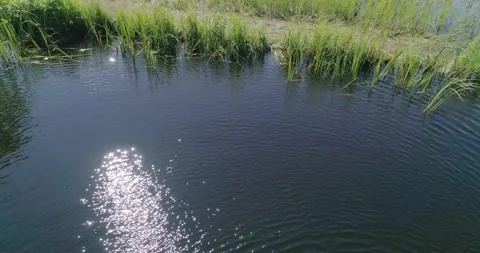 Flying over a beautiful forest lake on a summer day. Stock Footage 135477459