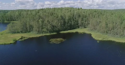 Flying over a beautiful forest lake on a summer day. Stock Footage 135477468