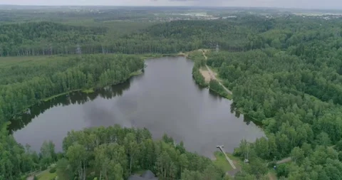 Flying over a beautiful forest lake on a summer day. Stock Footage 135477517