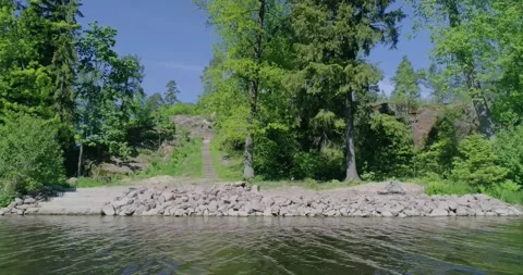 Flying over a beautiful forest lake on a summer day. Stock Footage 135477686