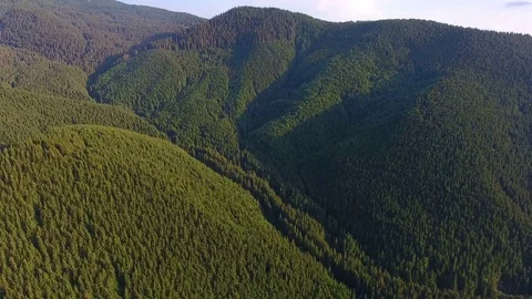 Flying over the beautiful forest in mountains. aerial view Stock Footage 80002904