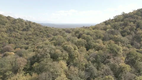 Flying over beautiful forest mountains near Kvareli Lake, Georgia Stock-Footage 163449294