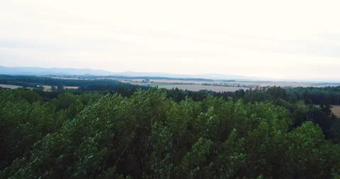Flying over the beautiful forest trees. Landscape panorama. Stock Footage 85961822