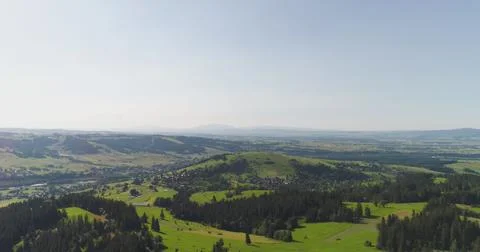 Flying over the beautiful forest trees. Landscape panorama. Stock Photos