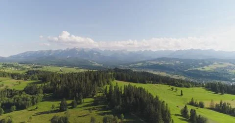 Flying over the beautiful forest trees. Landscape panorama. Stock Photos